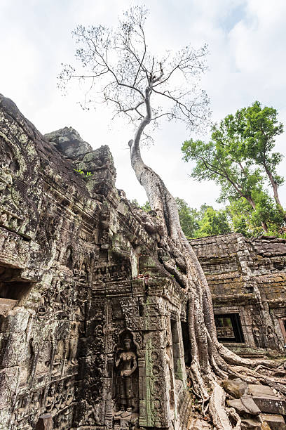 istock Angkor Archaeological Park in Cambodia 2209868014