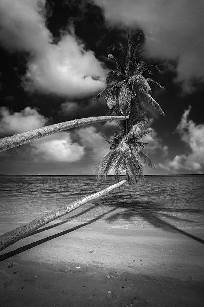 istock Scenic view of sea against sky 2209875727