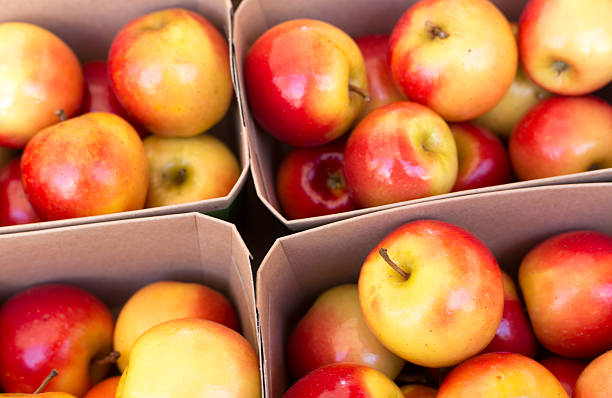 Paris, France: Boxes Small Red Apples in Row at Market