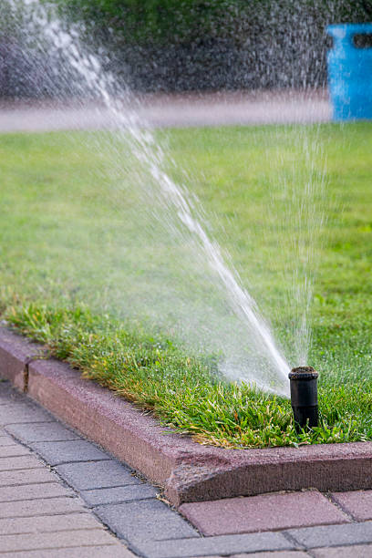 istock lawn sprinkler on green lawn 2209882026