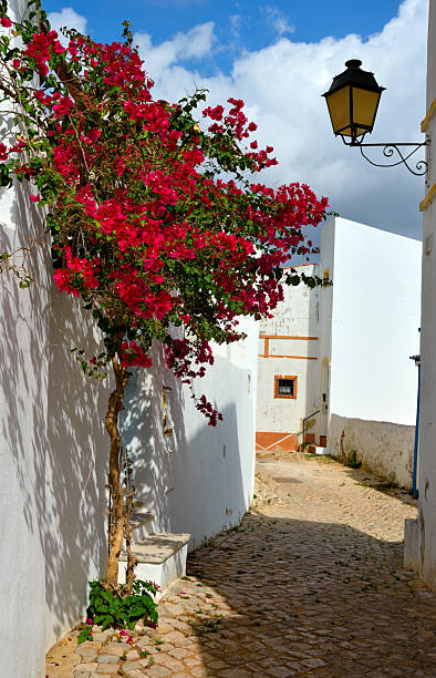 istock alte algarve portugal 2209882272