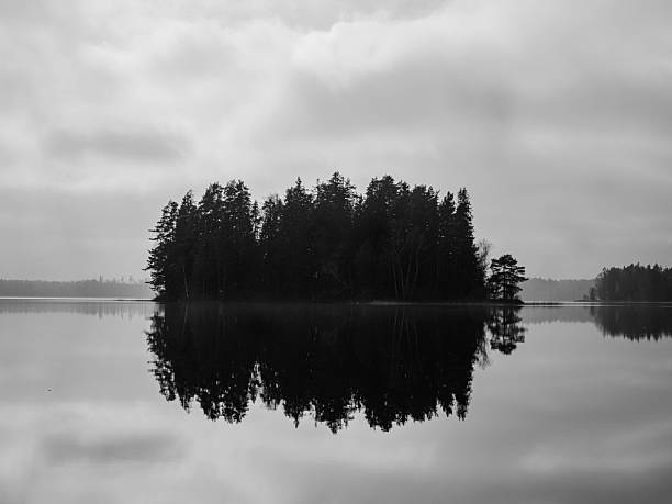 Natural view of a lake