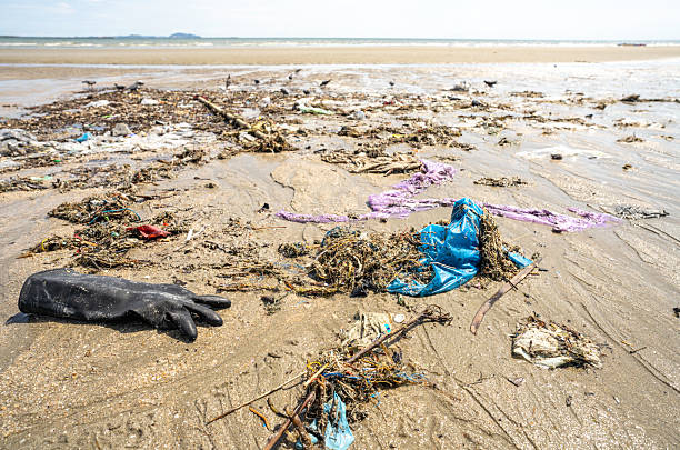 istock Human waste covers a tropical beach with plastic bags and debris scattered along the coastline. Global crisis of marine pollution and environmental contamination. Beach pollution crisis. Ocean waste. 2209886270
