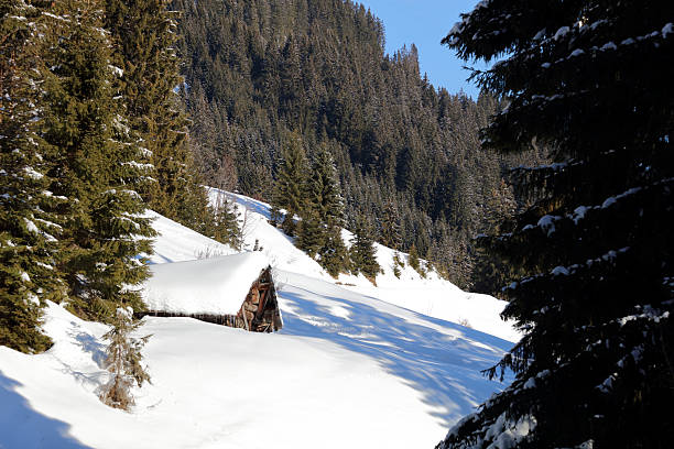 Winter in the swiss alps (Braunwald, Glarus, Switzerland)