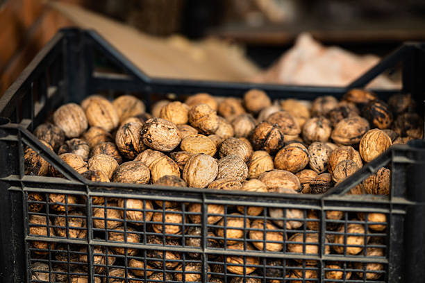 A full box of walnuts close-up, harvest storage.