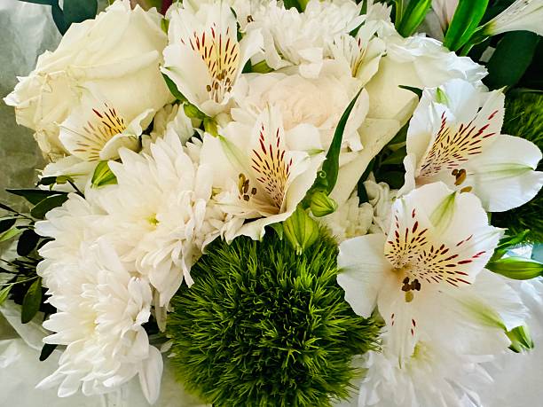 bouquet of white flowers, spring flowers