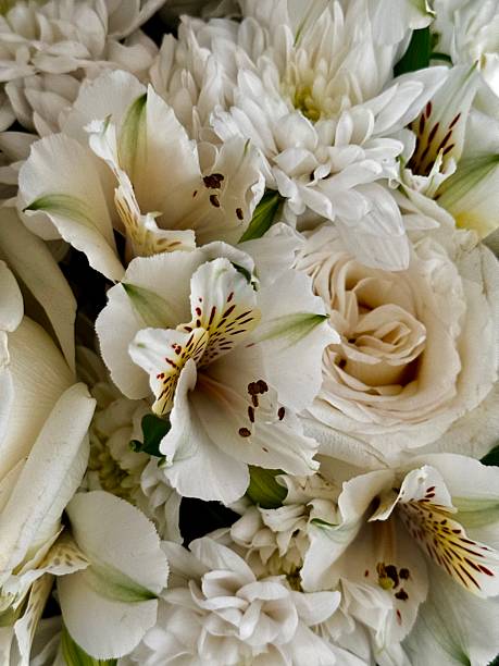istock bouquet of white flowers, spring flowers 2209908494