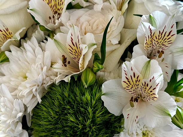 bouquet of white flowers, spring flowers