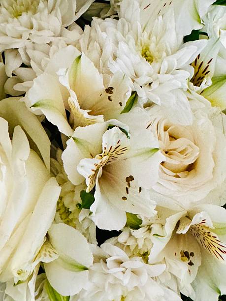istock bouquet of white flowers, spring flowers 2209908508