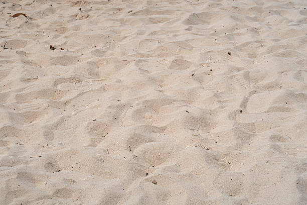 istock Close-up of rippled sand on a sunny beach, creating an abstract texture. 2209913326