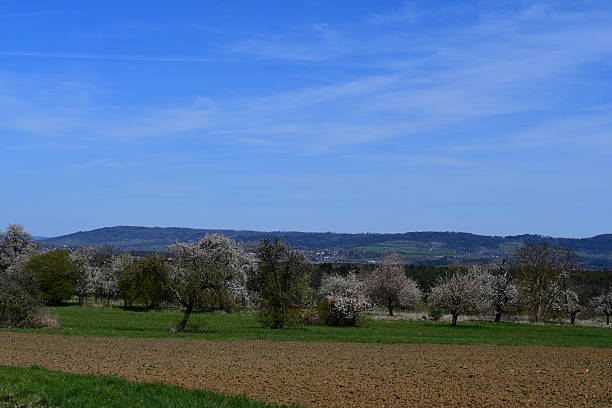Schöne Landschaft bei Kalchreuth zur Kirschblüte