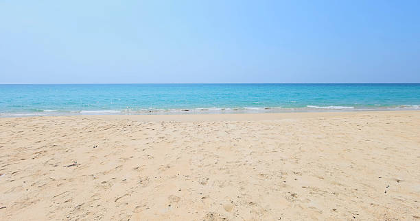 Sandy beach with clear blue ocean under bright sky, expansive and