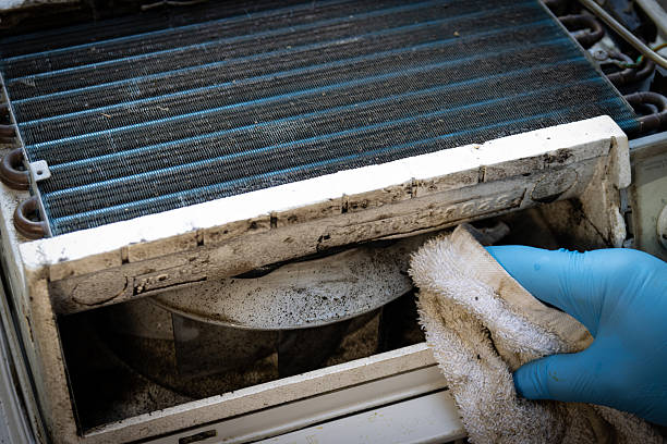 Cleaning black mold from air conditioner unit stock photo