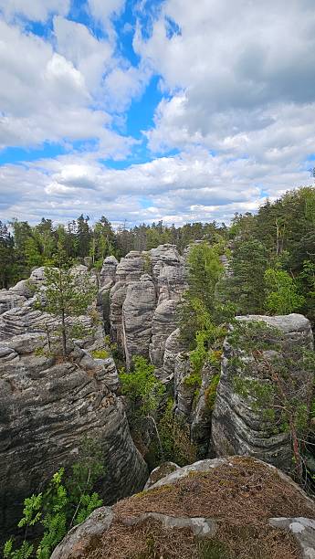 istock Rocky Forest Landscape with Towering Cliffs and Greenery Under a Blue Sky 2209928453