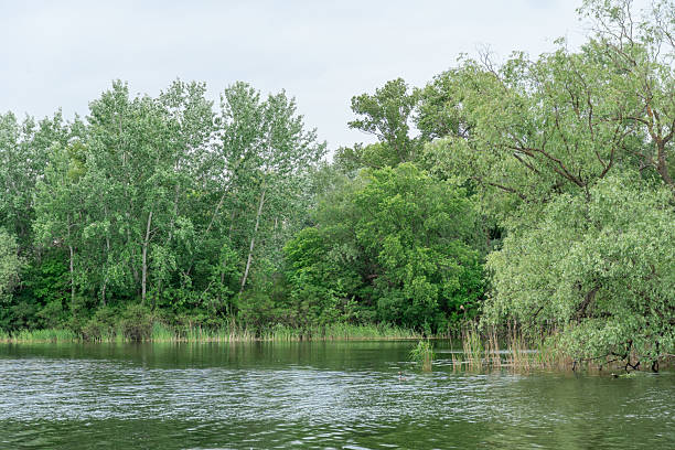 istock Spring view on picturesque river on natural park. 2209928512