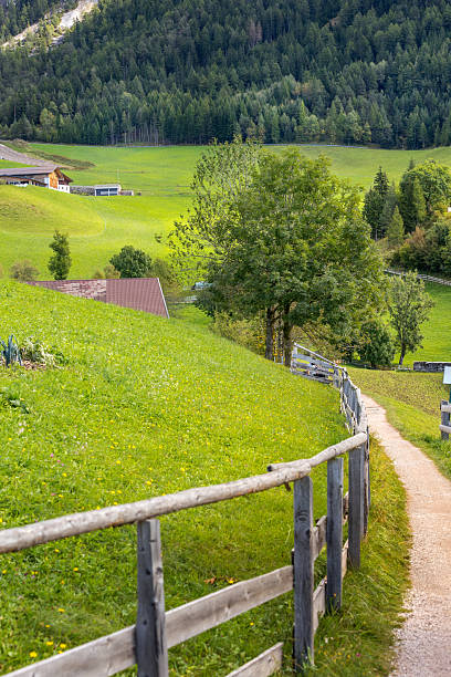 istock Santa Maddalena hiking path, Dolomites, Italy 2209928960