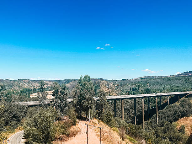 istock Highway Bridge Stretching Across Forested Valley on Clear Day 2209932348
