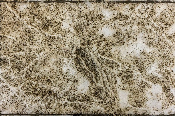 Close-up of aged and textured grey and white marble floor tiles with a speckled or mottled pattern in an old building, showing signs of wear and time.