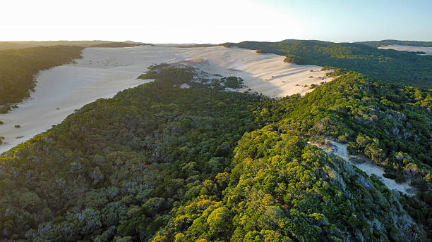 A forest on a sandy hill at sunset on a remote island, photographed with a drone