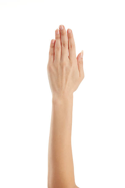 istock Woman hand palm 2209947046
