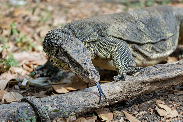 istock Views of Thailand 2209947815