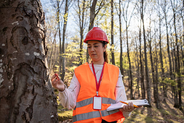 istock Forestry Worker Inspecting Tree in Woodland with Notepad and Safety Gear 2209950655