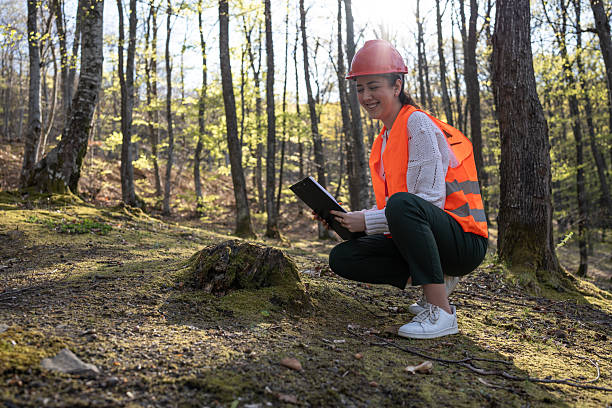 istock Forestry Worker in Hi-Vis Gear Studying Nature Outdoors 2209950680