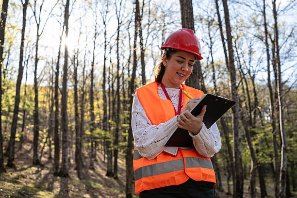 istock Female Forester Working in a Forest Wearing Safety Gear and Writing Notes 2209950728
