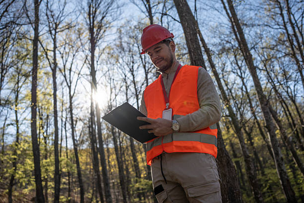 istock Forest Inspector Examining Work Records Amidst the Trees in Bright Sunlight 2209950787