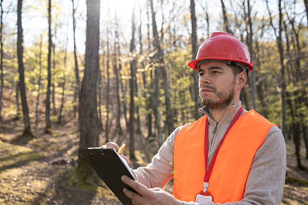 istock Forestry Worker Inspecting a Forest Environment for Management and Sustainability 2209950862