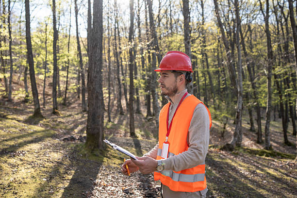 istock Forest Engineer Assessing Woodland Area in Bright Daylight 2209950905
