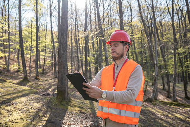 istock Forest Inspector in Safety Equipment Records Observations on a Bright Day 2209950906