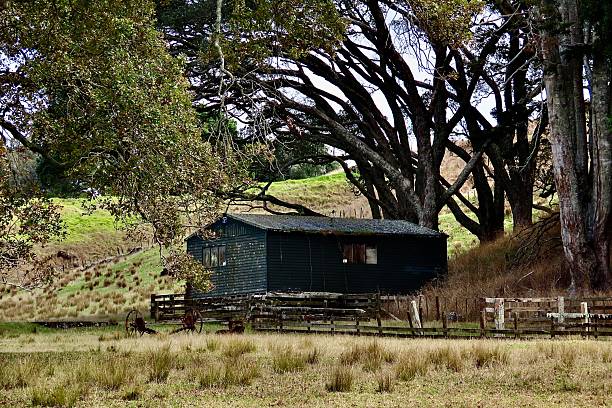 istock An old Shed under trees at Cornwall Park, a working Farm in Auckland 2209951728