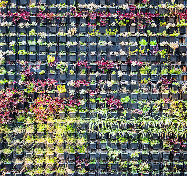 A full shot of a modern vertical garden wall featuring various succulents and plants in small, dark gray/black plastic planters.