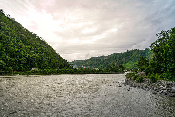 istock Chanchamayo river surrounded by abundant trees 2209957583