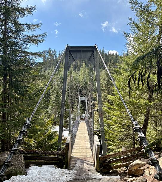 istock Suspension Bridge Crossing Forested River Valley 2209968573