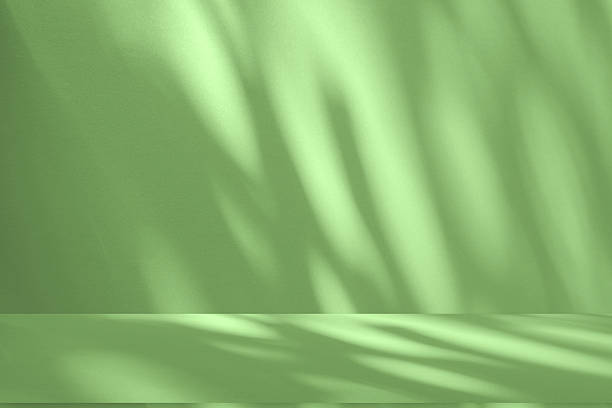 istock Studio style background wall decoration presentation uses white and beige tones. with shadows cast from a nearby window, concept creating a decorative 2209969788