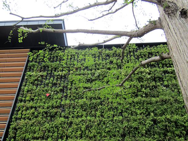 istock The wall of Tokyo building. 2209971536