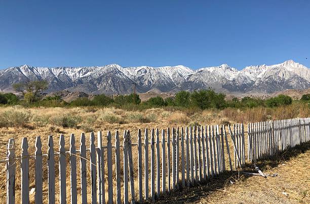 White picket fence in need of repair, snow-capped mountains in the background