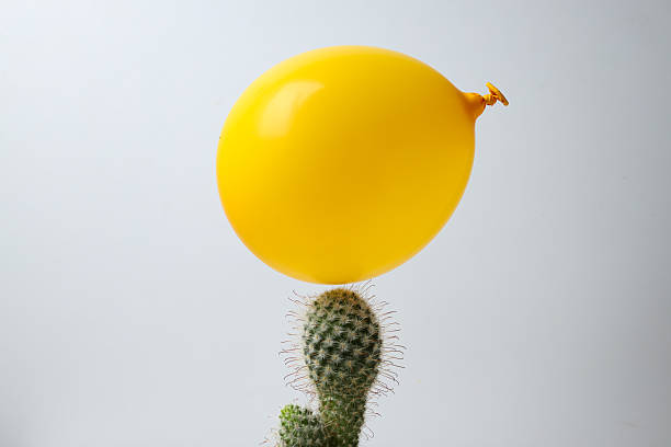 istock Yellow balloon and cactus on white background 2209987992