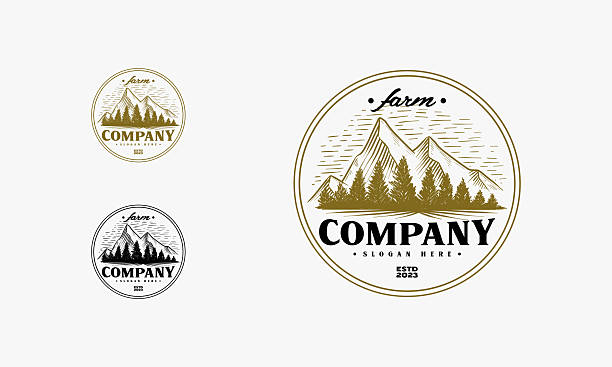 Sketch of a mountains with fir forest, engraving style, hand drawn vector illustration
