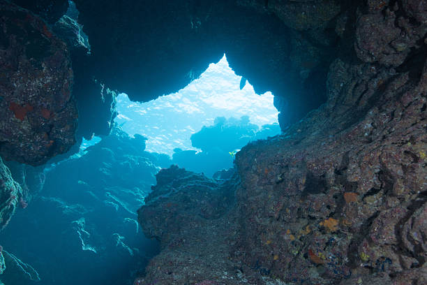 istock Beautiful underwater scenery of coral reefs 2209993637