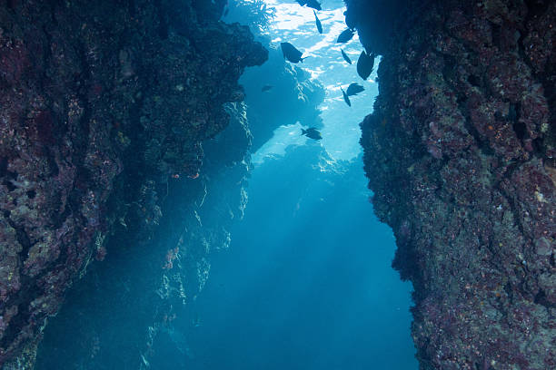 istock Beautiful underwater scenery of coral reefs 2209993677