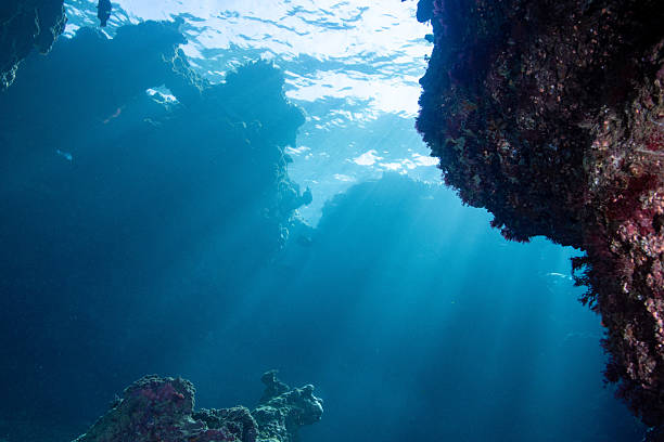 istock Beautiful underwater scenery of coral reefs 2209993692