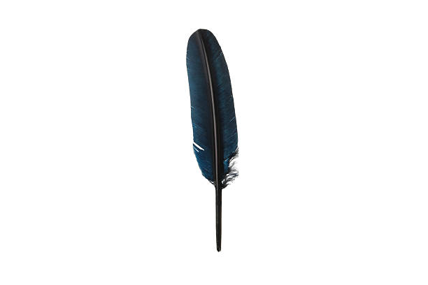 Image shot in studio of old fashioned quill pan.