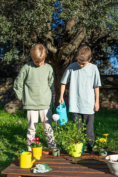 istock Two boys watering plants in a garden on a sunny day 2210006930