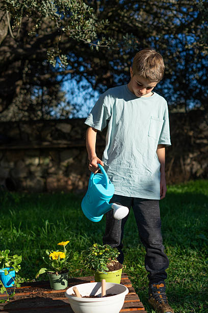 istock Young boy watering plants in a garden 2210007016