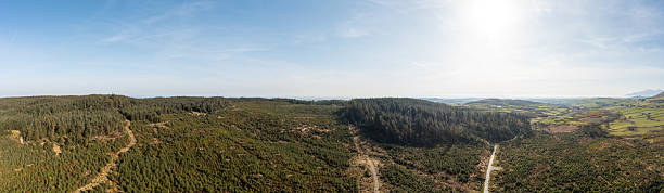 istock panoramic view of the spring countryside 2210007038