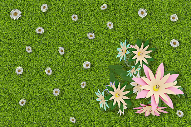 Grass Laptop