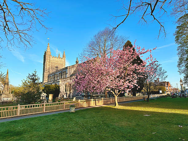 istock Cherry Blossom And The Church, Beaconsfield 2210008411
